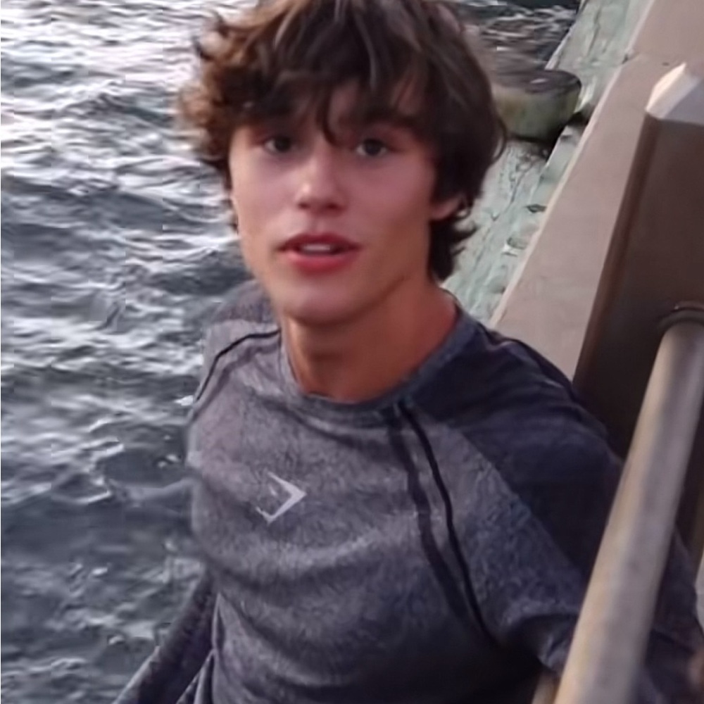 ISO THIS DEVANT LONGSLEEVE BY GYMSHARK WORN BY DAVID LAID OR ANY LIKE THIS